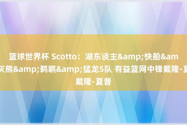 篮球世界杯 Scotto：湖东谈主&快船&灰熊&鹈鹕&猛龙5队 有益篮网中锋戴隆-夏普